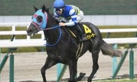 中山・阪神開催がスタート GI前哨戦の紫苑SやセントウルSなど/今週の競馬界の見どころ