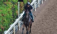 のちの活躍馬が多数 阪神開幕週の新馬戦から目が離せない/関西馬メイクデビュー情報