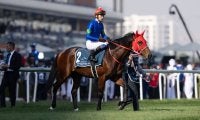 韓国遠征馬がコリアスプリント（G3）・コリアカップ（G3）出走