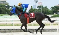 【園田オータムトロフィー】スマイルミーシャが5馬身差圧勝…吉村「暑さ堪えたかな」
