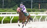 【ヤングジョッキーズTR園田】JRA暫定首位は小沢大仁騎手