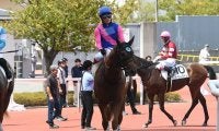 【阪神4R新馬戦結果】メイショウキルギスが逃げ切ってデビューV！