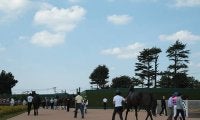 【中山3R新馬戦結果】4番人気のネオシルバーがデビューV