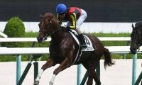 【阪神5R新馬戦結果】5番人気のサークルオブジョイが押し切ってデビューV！
