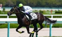 【新馬/阪神4R】武豊騎乗、ビーグラッドが鮮やかな逃げ切りでデビューV