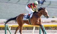 【ローズS出走馬・騎手確定】ブレイディヴェーグ＆C.ルメール騎手、ソーダズリング＆武豊騎手など17頭