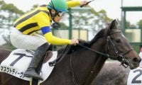 近親にGI馬やダート重賞覇者 同舞台圧勝の勢いそのままにローズS制覇へ