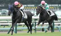 【新馬/中山5R】単勝1.5倍フォルラニーニが断然人気に応える