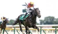 【東京ハイジャンプ枠順確定】ジューンベロシティは4枠4番、ニシノデイジーは3枠3番