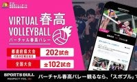フジテレビ「バーチャル春高バレー２０２３～２０２４」放送概要を発表　１０・２２都道府県大会からライブ配信スタート！