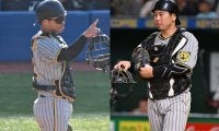梅野と坂本は今季も併用か　阪神の“正捕手論”に高木豊氏は「2人がいて阪神のキャッチャーは成立する」と指摘