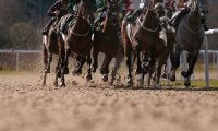 【サウジカップ2024】ウシュバテソーロに“勝機到来”か　日本馬Vの2戦に「外差し優位」の馬場傾向浮上