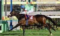 【スプリングS】シックスペンスが無傷の3連勝…クラシックへ名乗り
