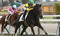 【阪神牝馬S枠順確定】マスクトディーヴァは1枠1番、ドゥアイズは6枠7番