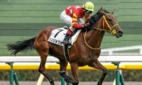 【福島牝馬S予想】フレッシュさよりもキャリア 高配の使者はレース経験豊富な馬にあり