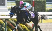 【天皇賞(春)枠順確定】ドゥレッツァは6枠12番、テーオーロイヤルは7枠14番