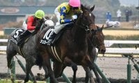 【青葉賞出走馬・騎手確定】シュガークン＆武豊騎手、ウインマクシマム＆松岡正海騎手など17頭