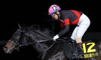 【名古屋グランプリ注目馬】ゴールデンウィークを締めくくる交流重賞 ディクテオン連覇なるか