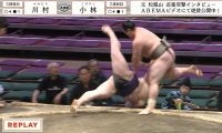 力士が土俵の淵でバウンドして“180度”回転落下「キャァ」驚きの声 手に汗握る土俵際のド迫力攻防