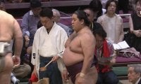 “めっちゃキュート”だニャン 幕内力士、“ぐうかわ”と評判の化粧まわしに悶絶の声