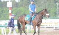 オークス馬の半弟もスタンバイ 国枝師「いいレベルにはあると思う」/関東馬メイクデビュー情報