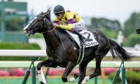 【函館5R新馬戦結果】1番人気のモーリス産駒ゴーゴータカシが逃げ切りV！