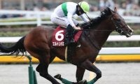 昨年重賞2連勝を果たした実績馬が輝きを取り戻すか 中京記念で復活を狙う