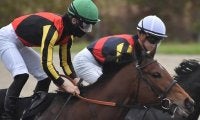 母は米最優秀2歳牝馬の良血 柳都Sで1年ぶりの実戦