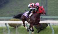 【盛岡・フェアリーカップ】ミニアチュールが7馬身差圧勝…佐々木志音「強さにびっくりした」
