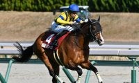 札幌で札幌記念と中京でCBC賞/今週の競馬界の見どころ