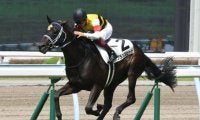 【先週のJRA抹消馬】芝1800m戦で3勝のグランスピード、6億円馬ディナシーの仔ゲンパチエトワールなど
