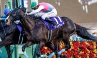 【AI予想・札幌記念】スーパーGIIは前走の距離や着順に注意 人工知能はGI勝ち馬に高評価