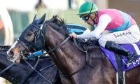 異例のローテで札幌記念参戦のGI馬 レース史に残る勝利となるか