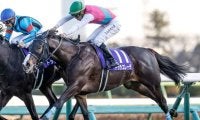 【札幌記念予想】AIの推奨は実績上位のGI馬 取捨を悩ます“臨戦過程”が妙味生む？