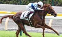 完勝デビューのスワーヴリチャード産駒 クローバー賞で2連勝なるか