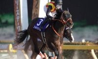 ゴールドドリーム産駒のJRA一番星なるか 良血馬ジャナドリアが今週末初陣