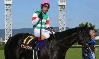 平地2重賞と小倉SJ、水曜には英国インターナショナルS/今週の競馬界の見どころ