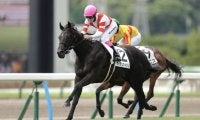 【新潟2歳S登録馬】ケイテンアイジンなど11頭