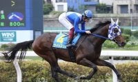 【浦和・ルーキーズサマーC枠順】連勝中の米国産馬ライトスリーは6枠6番