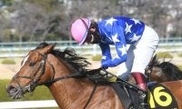 【先週のJRA抹消馬】芝で5勝を挙げたスカーフェイス、ポタジェやルージュバックの半妹にあたるプレミアムスマイルなど