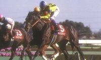 3頭の菊花賞馬を輩出した名種牡馬「ダンスインザダーク」 印象とは裏腹に幅広い距離適性を示す晩成型の傾向