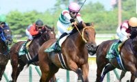 後のGI馬が魅せた上がり3F32.5秒の衝撃 最後方から一気に抜き去った13年の新潟2歳S
