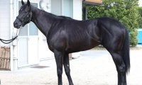 「大物の相がある」新潟2歳S参戦の“九州産馬”に軽視は禁物！