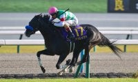 英インターナショナルステークス枠順…日本馬ドゥレッツァが参戦
