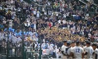 甲子園に「エグいのいて笑った」　熱戦を彩る“もう一人の主役”「えげつない」