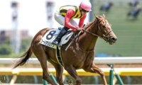 【新潟2歳S出走馬・騎手確定】コートアリシアン＆菅原明良騎手、シンフォーエバー＆岩田康誠騎手など11頭