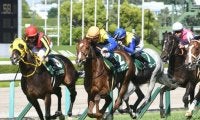 大社高校が107年前に2勝を挙げた“場所”とは 競馬場と夏の高校野球に意外なつながり