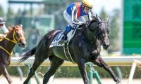 【新潟記念想定馬・騎手】ライトバック、キングズパレスなど13頭