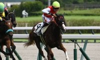 【中京5R新馬戦結果】10番人気のオルフェーヴル産駒ショウナンラフィネが逃げ切りV