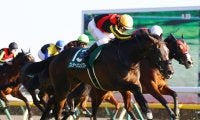 プレサージュリフトの競走馬登録抹消
